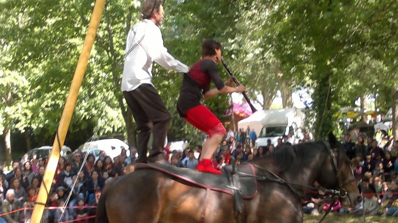 Saluton